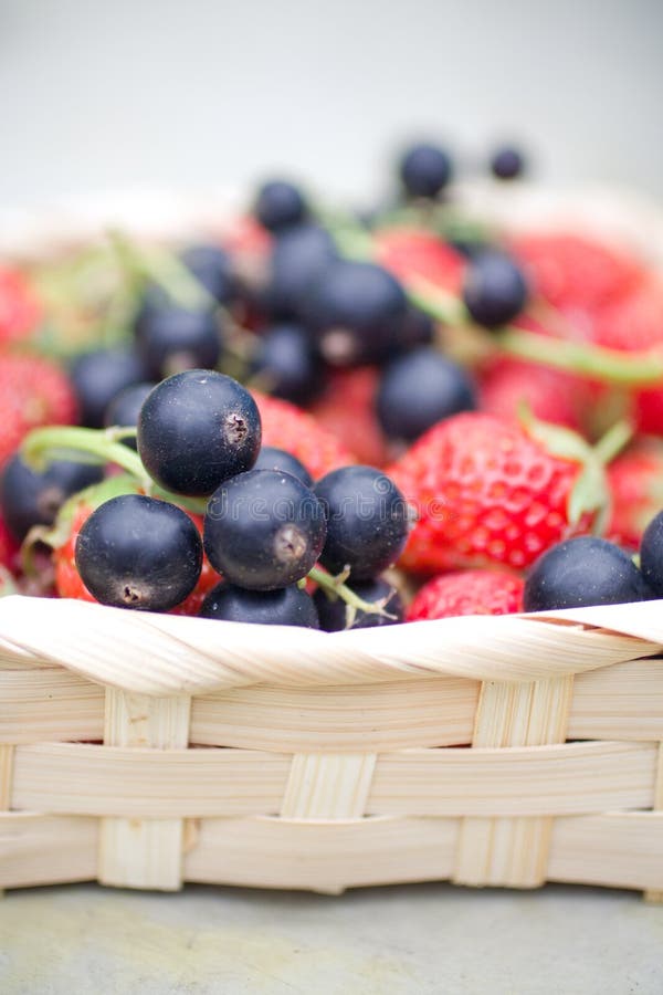 Summer berries