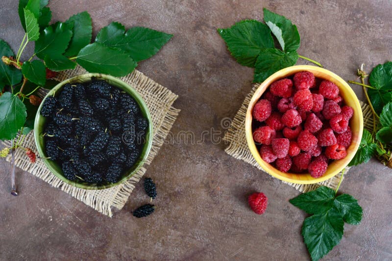 Summer berries: ripe black mulberry and juicy raspberries in bowls royalty free stock image