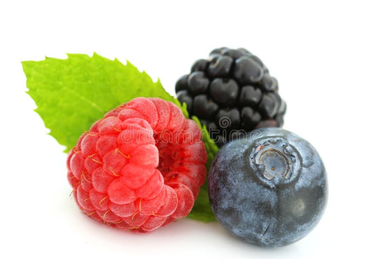 Summer berries on white stock photo