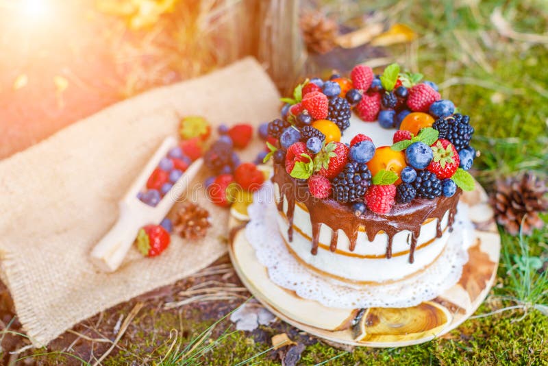 Summer berry cake stock image. Image of celebration, moss 58746245