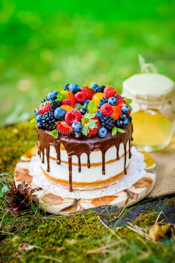Summer berry cake stock image. Image of round, pastry 58746277