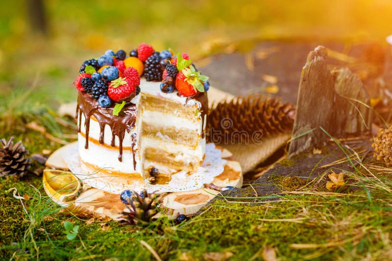 Summer berry cake stock image. Image of food, pastry 58746351