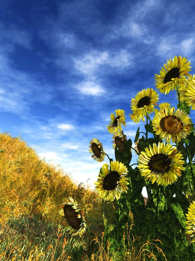 3d render of a group of sunflowers in a sunny day. 3d render of a group of sunflowers in a sunny day