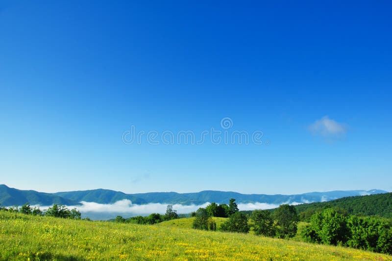 Summer blue sky