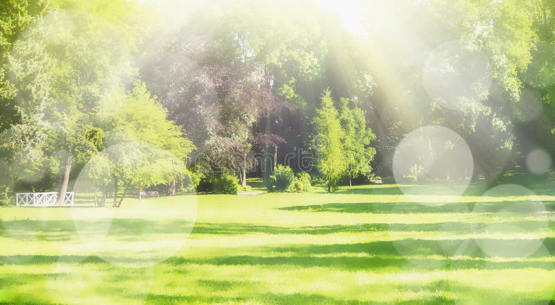 Summer blurred nature park background with sun rays, lawn and bokeh, banner for website. Summer blurred nature park background with sun rays, lawn and bokeh, banner for website