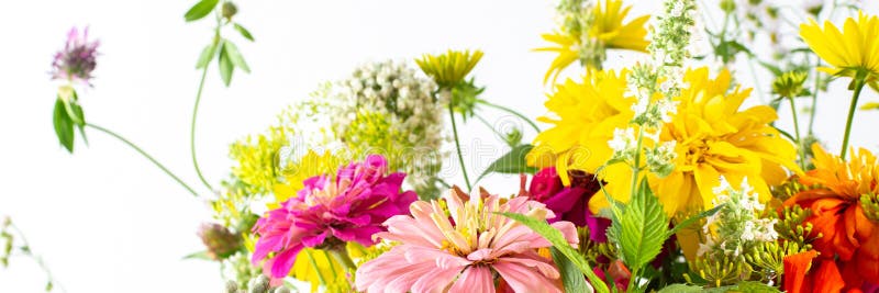 Summer bouquet of colorful Zinnia, onion inflorescences and mint sprigs, Rudbeckia Goldquelle and red clover, Ranunculus and Matricaria, home decoration with flowers banner. Summer bouquet of colorful Zinnia, onion inflorescences and mint sprigs, Rudbeckia Goldquelle and red clover, Ranunculus and Matricaria, home decoration with flowers banner