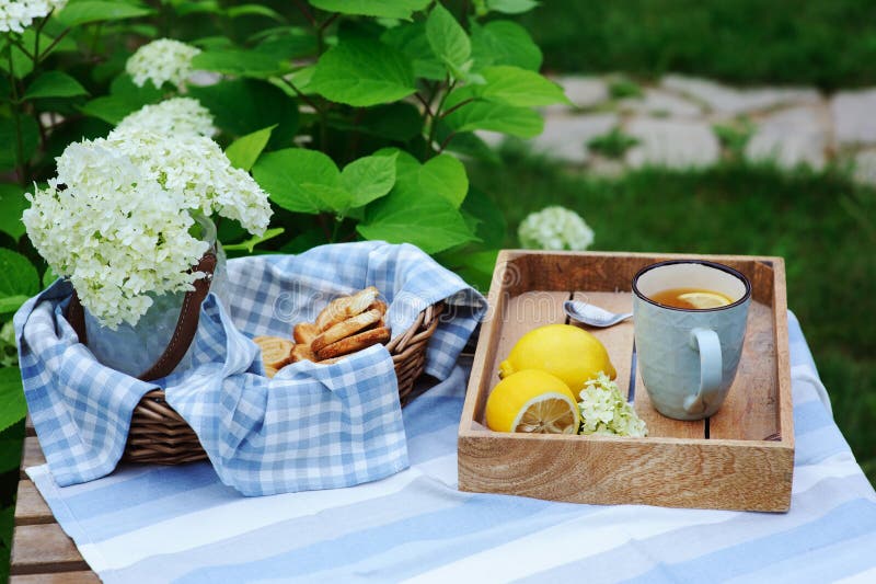 Summer breakfast in beautiful blooming garden with tea, lemon and cookies