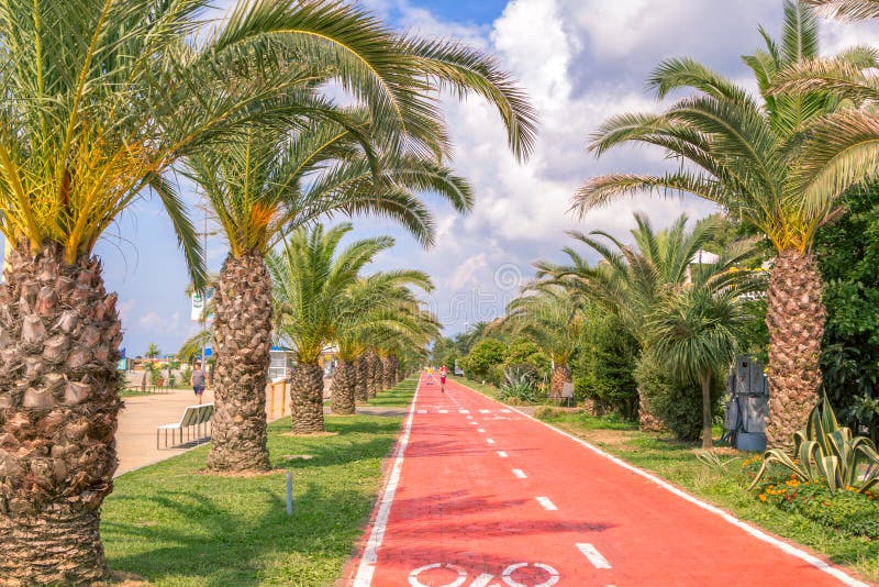 Summer cityscape with beautiful promenade in Batumi, Georgia. Batumi/Georgia – July 09, 2019: view of beautiful promenade with bike path, palm trees, lawns stock photos Summer cityscape with beautiful promenade in Batumi, Georgia. Batumi/Georgia – July 09, 2019: view of beautiful promenade with bike path, palm trees, lawns stock photos