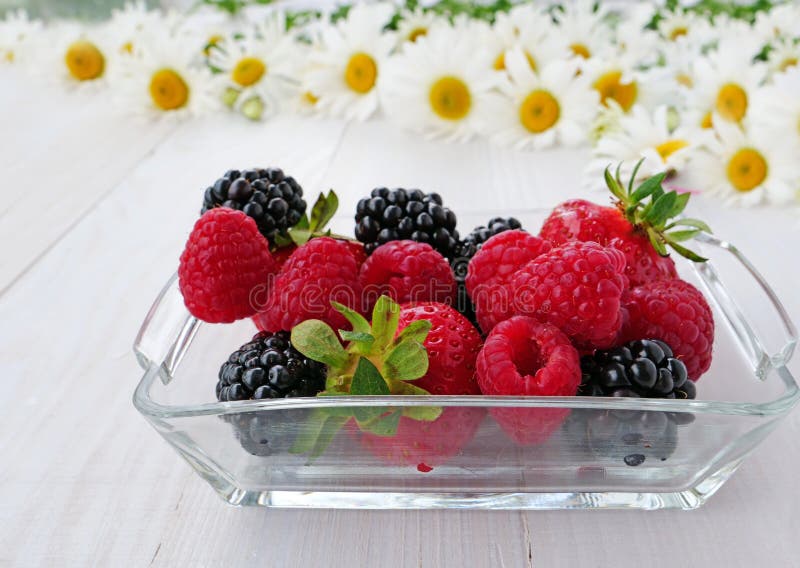 Summer concept, summer berries and daisies royalty free stock photo Summer concept, summer berries and daisies royalty free stock photo