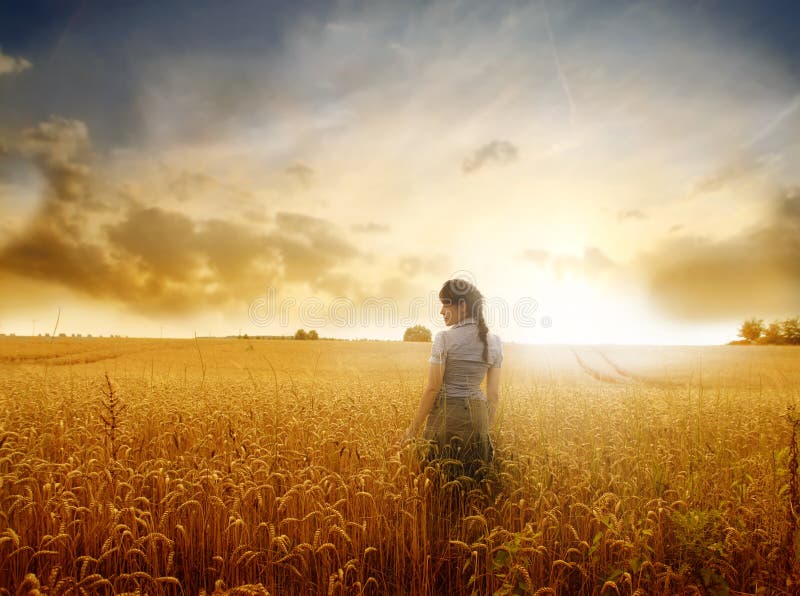 Bella donna in piedi su un campo di grano al tramonto.