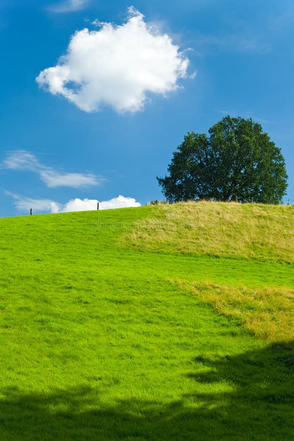 Summer countryside landscape