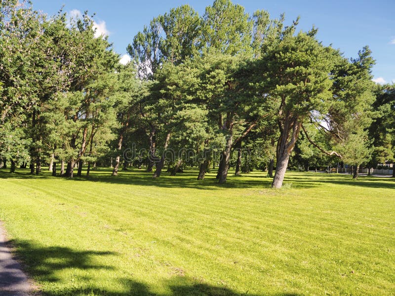 Summer day in the park.