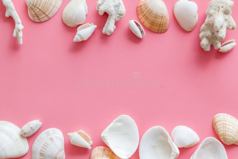 Seaside pattern with shells frame on pink background top view mock up stock images