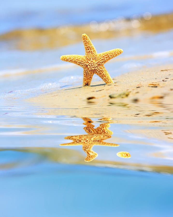 Summer dream stock photo. Image of reflection, background - 9247516