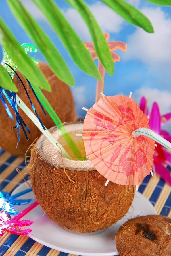 Summer Drink In Coconut Shell Stock Photos Image 33172433