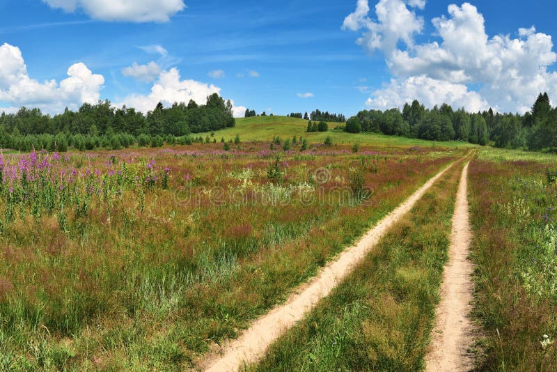 Summer fields, forests and meadows, under the bright warm sun and fluffy clouds.