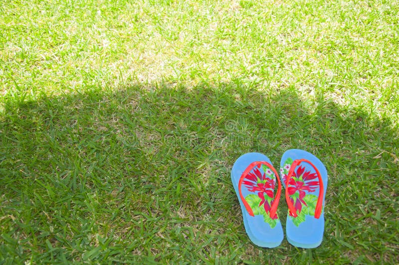 Summer Flip Flops on the Grass Stock Image - Image of style, color ...