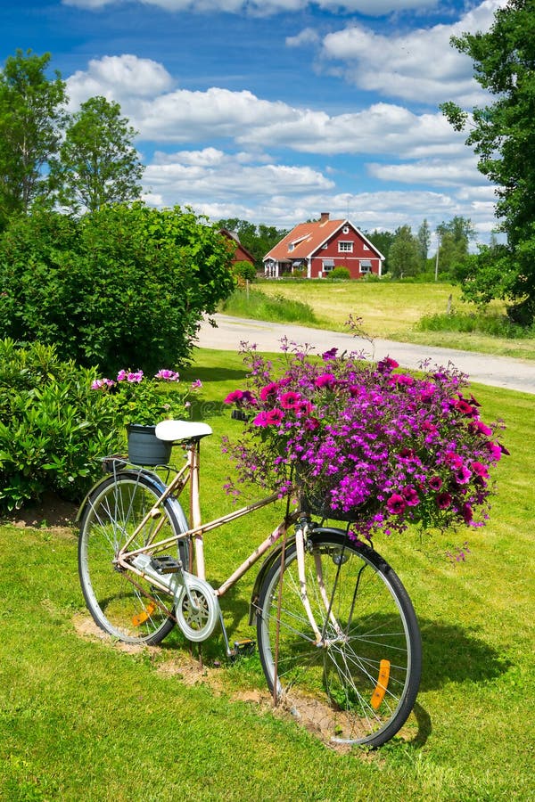 Summer flower bicycle