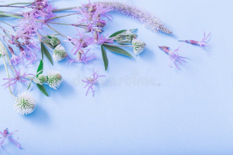 Summer flowers on blue paper background