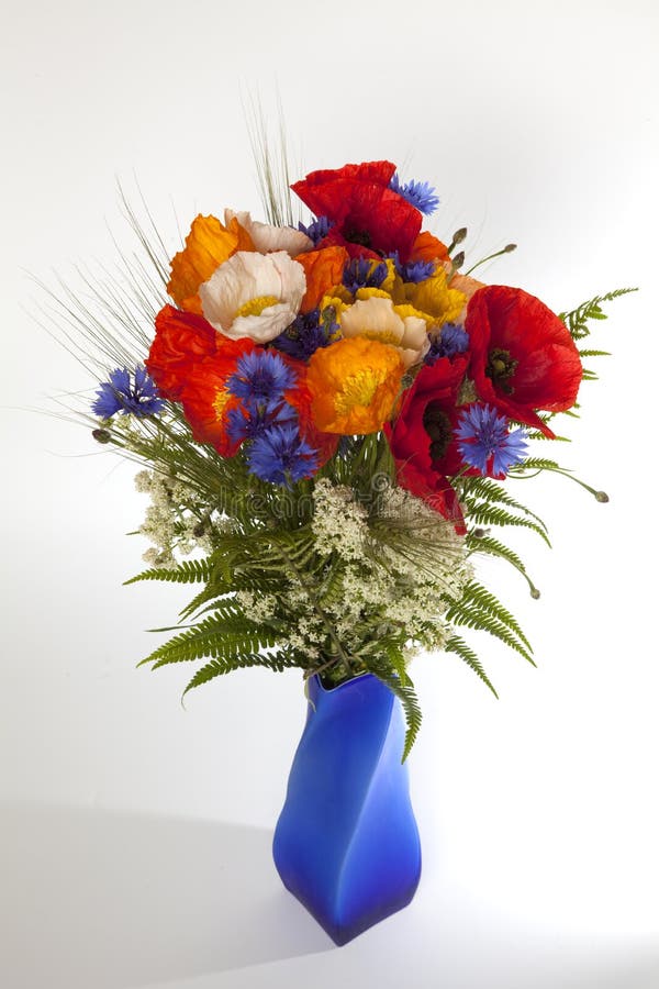 Summer Flowers In Vase On White Background Royalty Free Stock Photo