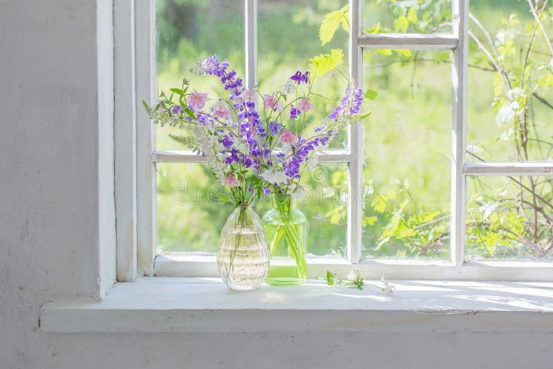 Flowers in Vase on Windowsill in Sunlight Stock Image Image of