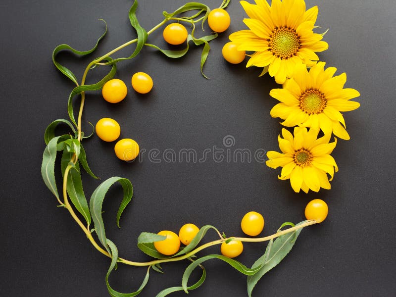 Frame flatlay mockup of flowers of sunflower, cherry plum and twigs of the salix matsudana tortuosa tree copy space top view