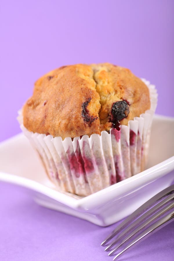 Summer fruit muffin stock image. Image of fruits, close 16245619