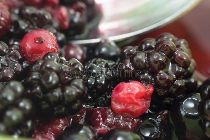 Summer Fruits - Bowl of Berries (Macro)