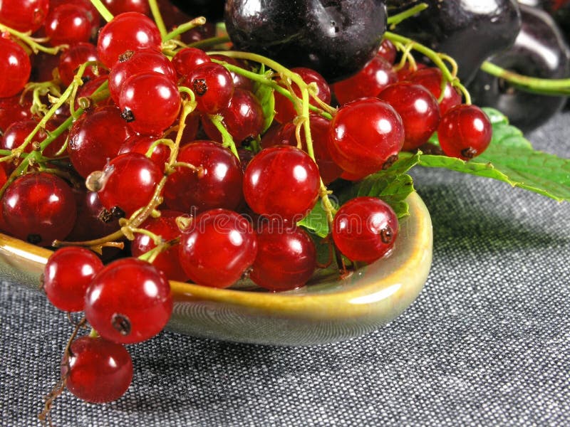 Summer fruits: Redcurrant