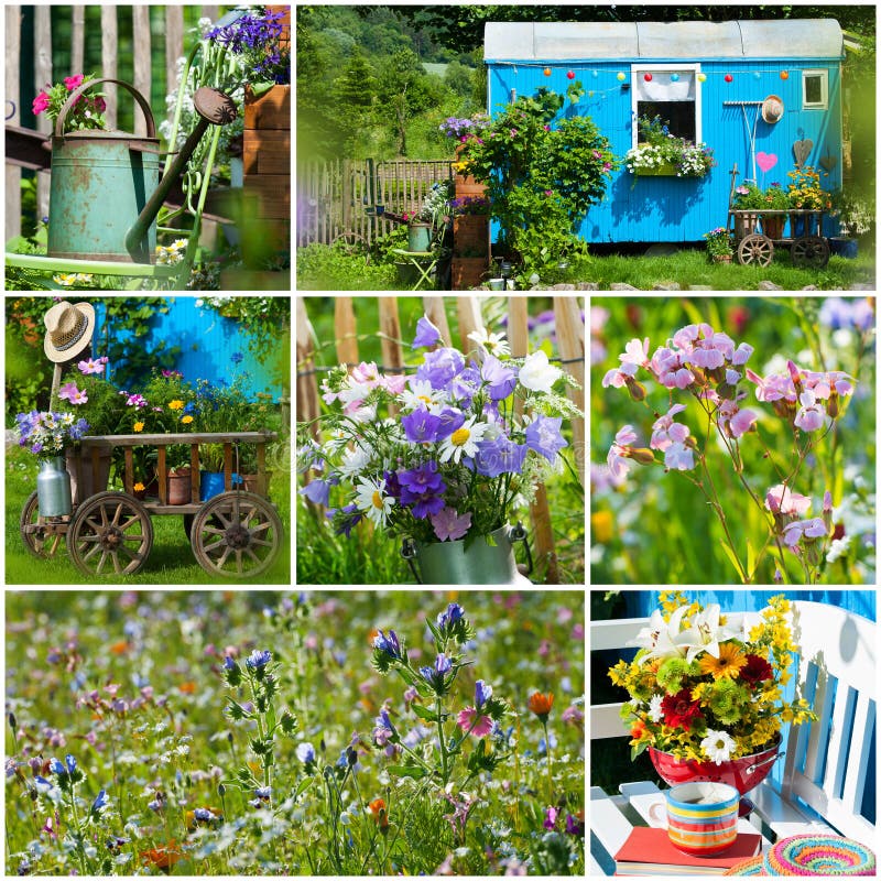 Summer garden collage stock photo. Image of colorful - 57330420