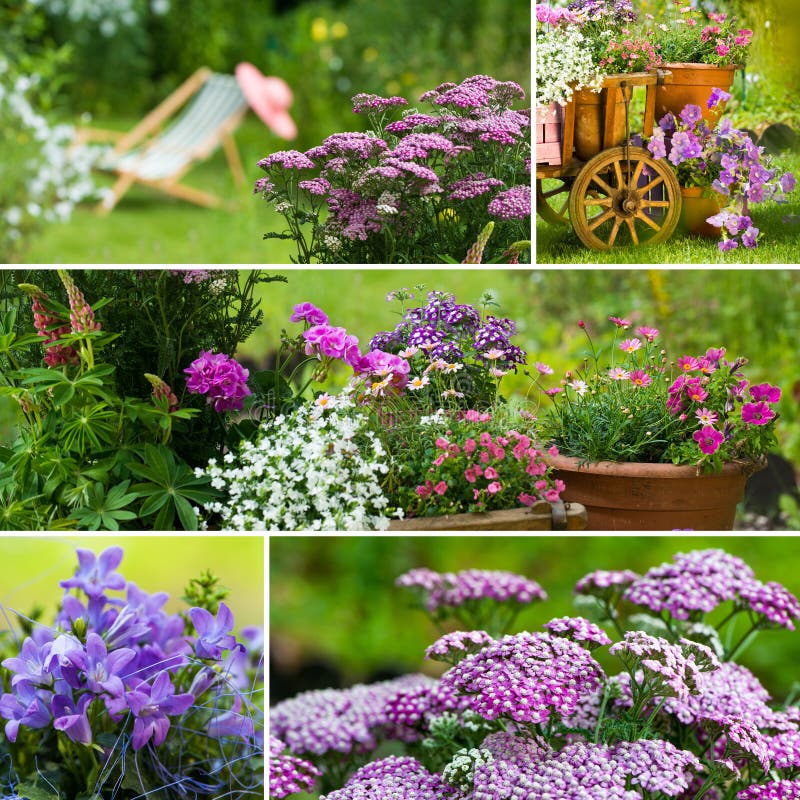 Summer garden collage stock image. Image of garden, summer - 27742917
