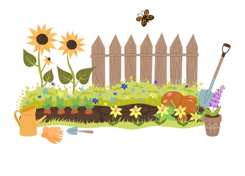 Summer Garden Illustration with a Fence, Sunflowers and Garden Tools ...