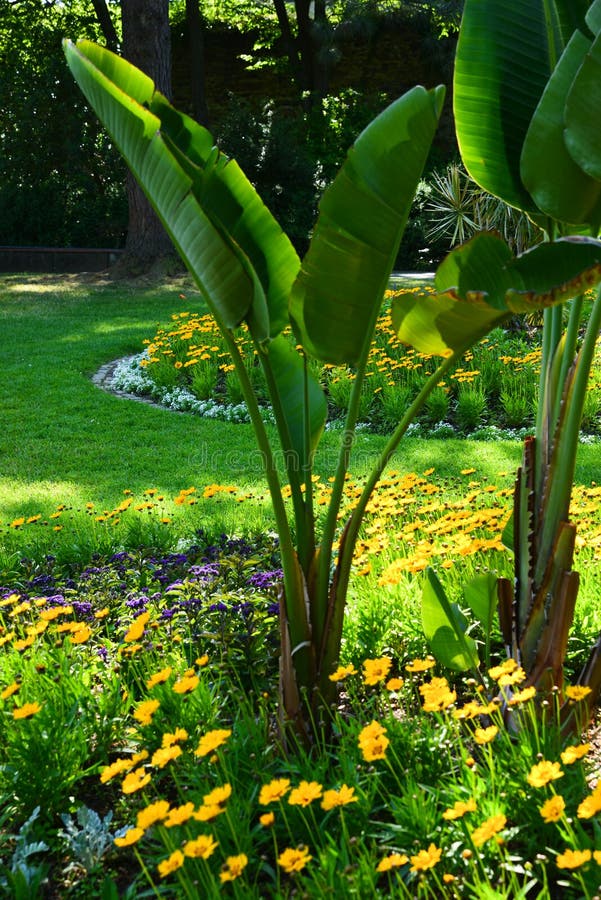 Summer garden stock images Summer garden stock images