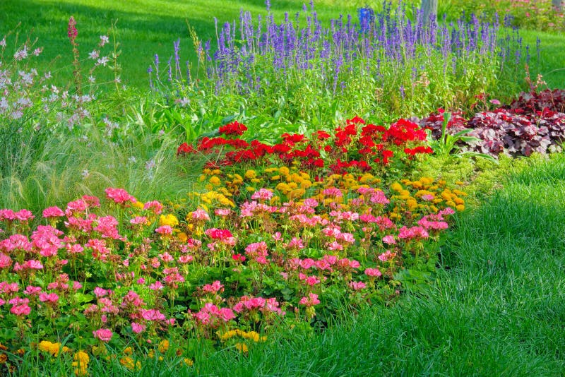 Summer garden scenery stock image. Image of grassland - 190937263