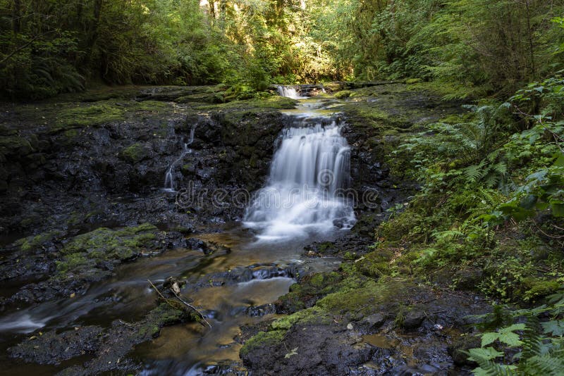Summer at Gnat Creek royalty free stock image Summer at Gnat Creek royalty free stock image