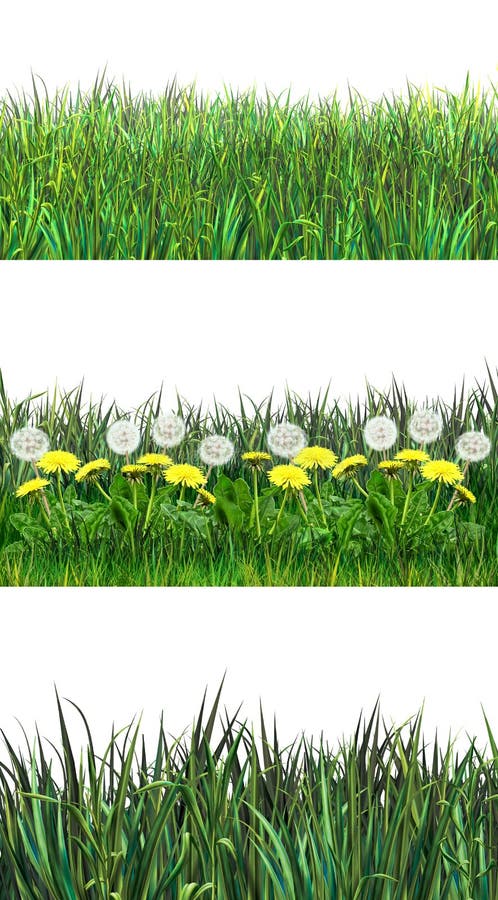 Spring fresh grass stock image. Illustration of clip - 66826175