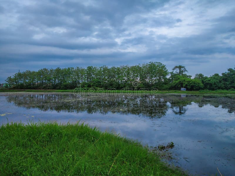 474 Beautifull Landscape Pond Photos - Free & Royalty-Free Stock Photos ...