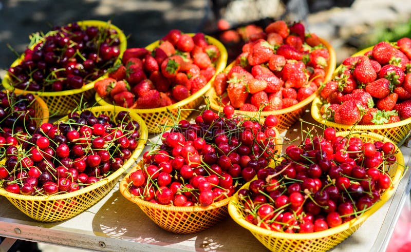 Summer harvest. Red ripe berries. Juicy berries from garden. Buy fresh fruits. Organic berries. Healthy delicious snack