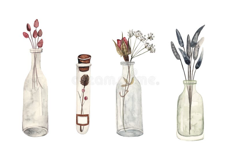 Summer herbarium. Dried flowers and plants in glass bottles, watercolor illustration