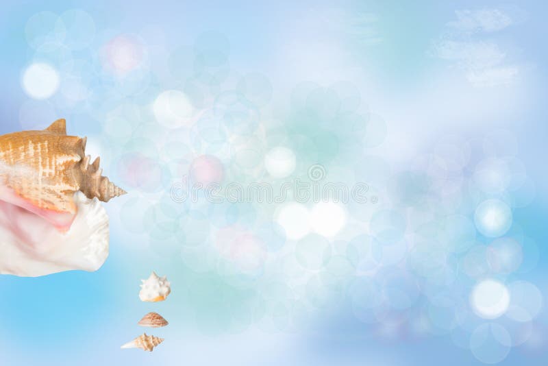 Summer holiday background. Closeup of sea shells on a beautiful abstract colorful summer bokeh background texture. Travel and stock photography Summer holiday background. Closeup of sea shells on a beautiful abstract colorful summer bokeh background texture. Travel and stock photography