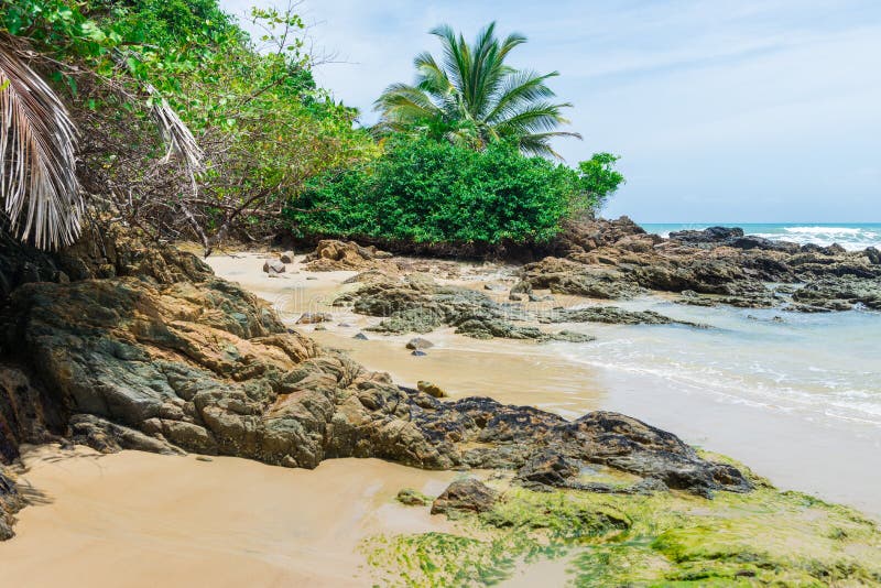 Summer holiday daylight beach scene tropical paradise