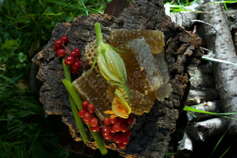 Summer honey mood stock photo. Image of stilllife, lindenhoney 58109492