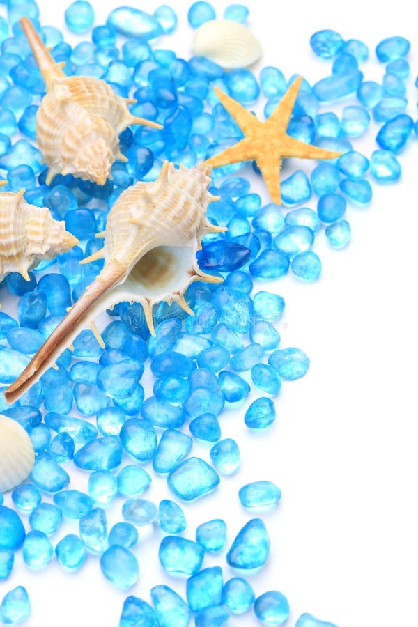 I expressed summer in a blue glass bead and shell. Bivalve shell stock images, royalty-free photos and pictures