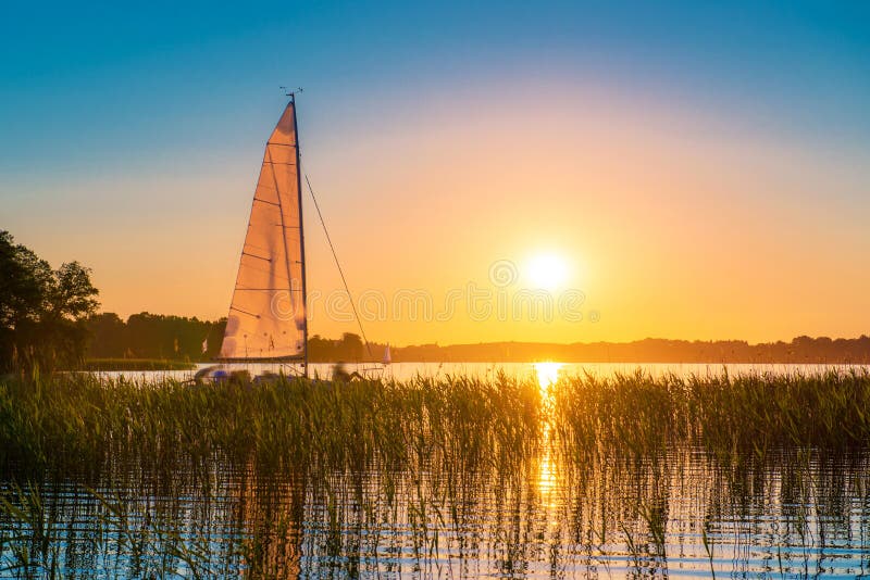 Naturaleza sobre el atardecer.