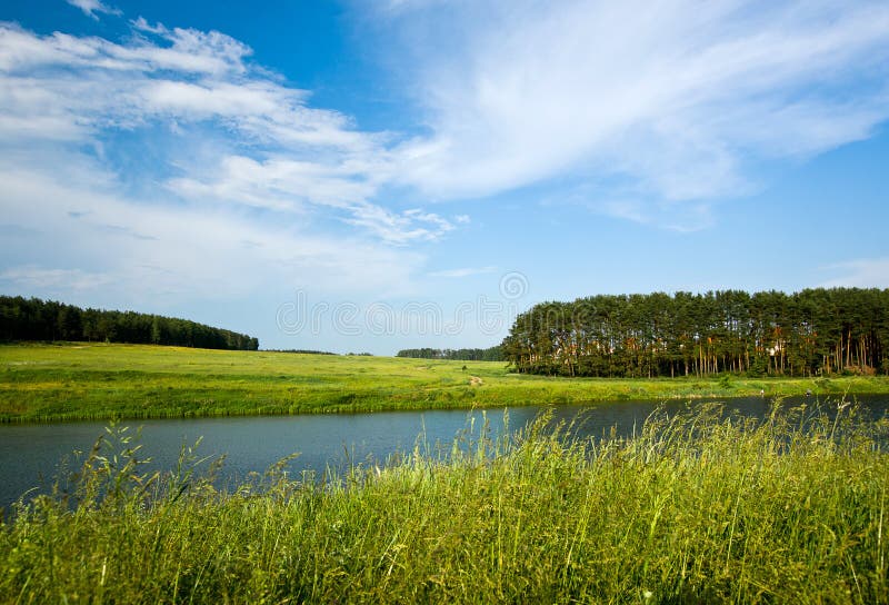 Summer lake and forest view.