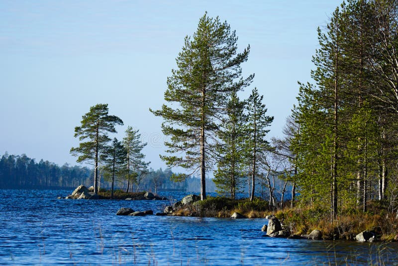 Summer Lake in Lapland, Finland Stock Photo Image of park, scenic