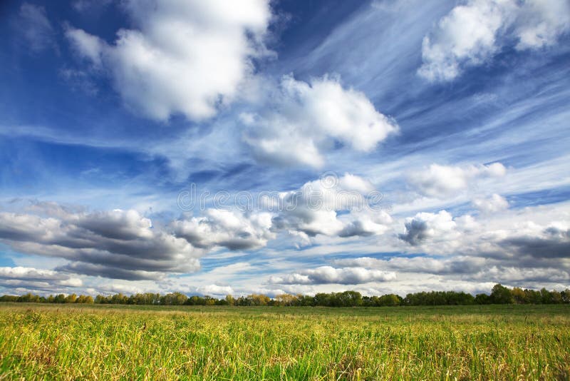 Summer landscape