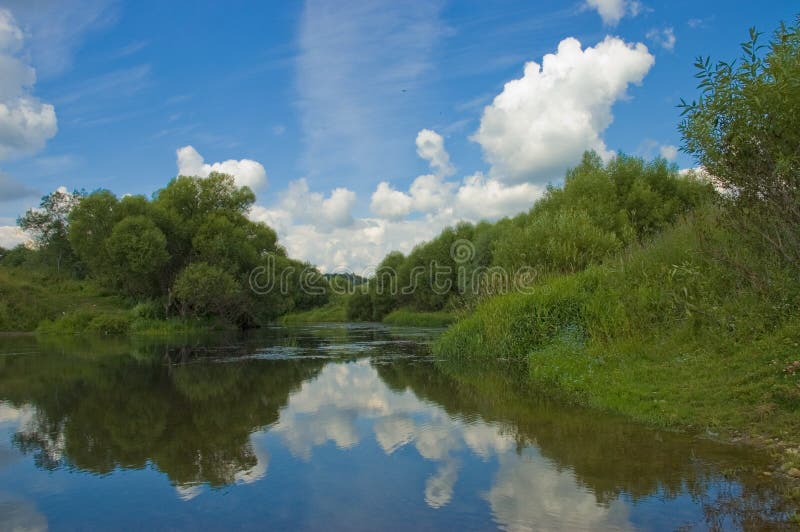 Summer landscape