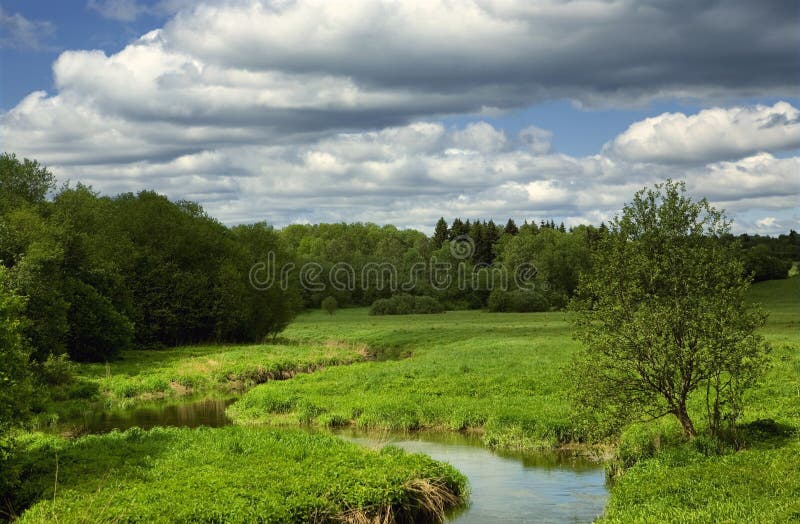 Summer landscape