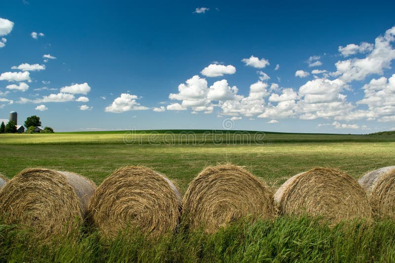 Summer Landscape